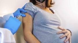 Las mujeres embarazadas deben aplicarse la vacuna contra el virus sincital.