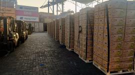 La Policía Nacional decomisó 1,2 toneladas de cocaína impregada en cajas de banano en el puerto de Guayaquil.