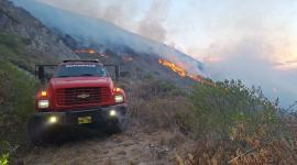 Incendio forestal en el sector de Tanlahua.