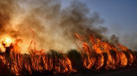 Voraces incendios acorralan a tres municipios de Nariño en Colombia