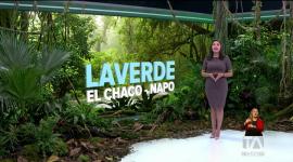 El proyecto ecológico demuestra la viabilidad de equilibrar la preservación de los ecosistemas con la ejecución de actividades productivas sostenibles. Un reportaje de Nathalie Jiménez