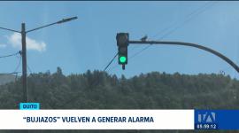 Un conductor fue víctima del robo de sus pertenencias tras el rompimiento del ventanal de su vehículo. Policía alerta la recurrencia de este delito. Un reportaje de Mishel Villacís
