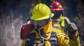 Bomberos de Quito durante la intervención de incendios que afectan las zonas del norte de la ciudad.