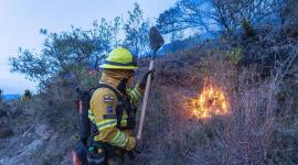 Quito y Cotacachi bajo extrema vigilancia por incendios forestales activos