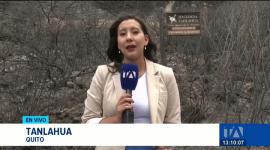 Tres de los siniestros de mayor magnitud se concentran en Pichincha, mientras bomberos y brigadistas intentan contener el avance del fuego. Un reportaje de Lucía Clavijo