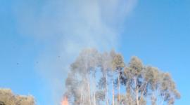 Un incendio forestal se registra en la av. Simón Bolívar este viernes 14 de agosto de 2026.