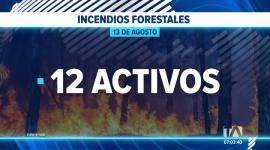 Las fuertes ráfagas de viento y las altas temperaturas complican la sofocación del fuego a escala nacional, provocando la rápida propagación de las llamas. Un reportaje de Belén Merizalde