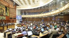 Al menos 21 asambleístas renunciaron para participar en las elecciones seccionales.