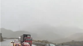 Dos osos andinos fueron vistos en la vía a Papallacta.