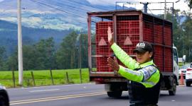 Autoridades alertan sobre operativos ilegales a camiones