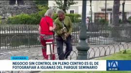 Comerciantes y fotógrafos del Parque Las Iguanas sostienen y manipulan a los ejemplares para ofrecerlos a los visitantes. Un reportaje de Jazmín Solís
