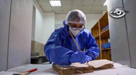 El paso del tiempo trae amenazas invisibles para nuestro pasado —como hongos, bacterias e insectos— capaces de destruir información invaluable que hoy busca ser protegida mediante la radiación. Le contamos cómo funciona esta fascinante manera de conservar documentos con más de cuatro siglos de historia.