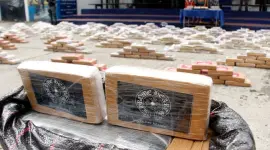 La producción de cocaína en Sudamérica llegó a niveles récord en 2026, según la Oficina de Control de Activos Extranjeros del Departamento del Tesoro de Estados Unidos.