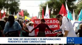 El proceso de validación para las listas inscritas continúa. Las organizaciones políticas agotan los recursos legales para sostener sus postulaciones. Un reportaje de Belén Merizalde