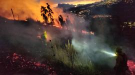Incendio forestal se registra en el sector de Guangopolo, en Quito.