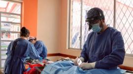 La UBA realizará campaña de esterilización de mascotas este sábado 29 de agosto en Quito.