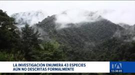 El último inventario elaborado por investigadores permitió incorporar dos nuevas especies de mamíferos al listado oficial de biodiversidad del país. Un reportaje de Bernarda Cevallos