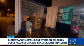 Agentes de control intervinieron un predio en el norte de Quito por operar en condiciones insalubres e incumplir la normativa sanitaria. Un reportaje de Nathalie Jiménez