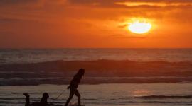 La temperatura de los océanos se ha incrementado en los últimos años.