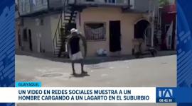 La difusión de un video en redes sociales encendió las alarmas de fundaciones de protección animal en Guayaquil. Un reportaje de Paula Kuhn