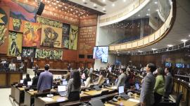 El Pleno de la Asamblea Nacional debatió en primer debate la Ley Antimafias este jueves 27 de agosto.