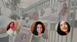 El 99,5% de las causas por femicidios y muertes violentas de mujeres de 2026 sigue en trámite.