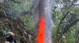 Descubren y erradican gigantesca plantación de coca en zona rural de Quito