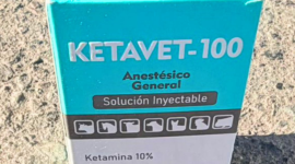 Decomisan cajas de ketamina ocultas en encomiendas de buses en Huaquillas.
