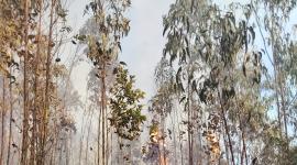 Incendio forestal se registra en San Vicente de El Quinche.