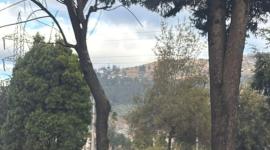 Un siniestro de tránsito se reportó este lunes 31  de agosto de 2026, en el sector entre el puente 4 y 5, en la avenida General Rumiñahui.