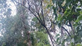 Los Bomberos de Quito ayudaron a un hombre a salir de una montaña en la reserva Pasochoa.