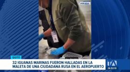 Operativos de control permitieron la incautación de aletas de tiburón, iguanas marinas y pepinos de mar. Un reportaje de Ricardo Cruzatty