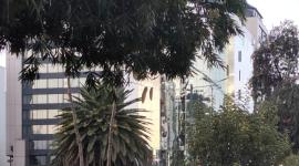 Un peatón fallece en la av. de los Shyris y Naciones Unidas en un siniestro con un scooter
