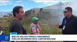 La emergencia ambiental azota a Carchi y causa severos daños en la flora, fauna y ecosistemas debido a la falta de control en las quema de terrenos. Un reportaje de Jairo Jácome
