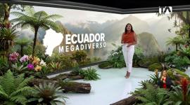 La iniciativa busca resguardar la biodiversidad de los Andes tropicales e integrar a la ciudadanía mediante actividades interactivas y material formativo para la conservación. Un reportaje de Nathalie Jiménez