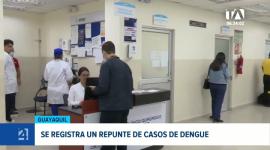 Fiebre alta de hasta 40 grados, intenso dolor de cabeza y erupciones cutáneas son las principales manifestaciones de alerta por dengue. Un reportaje de Ricardo Cruzatty