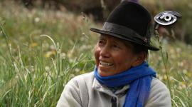 Doña Empera, una mujer campesina de Cotopaxi saltó a las redes, transformando las labores cotidianas de la tierra y la cocina a leña en un fenómeno viral. Entre el cuidado del ganado y arriesgados vuelos en parapente, comparte una autenticidad que cautiva a millones. Le contamos su historia.