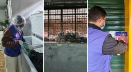 Los funcionarios del Arcsa hallaron irregularidades y heces de roedores en un local en Quito