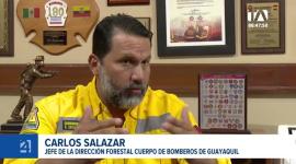El Cuerpo de Bomberos alerta que el estado seco de la vegetación, sumado a las altas temperaturas y fuertes vientos, propician el avance de las llamas. Un reportaje de Camila Guevara