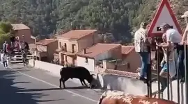 Momento en el que un toro embiste a una mujer en Aýna, en Albacete.