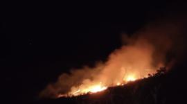 Incendio forestal en el sector de San Agustín, en Píntag.