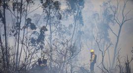 Una columna de humo se observa en el norte de Quito por un incendio forestal.