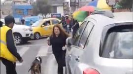 Ciudadanos intentan separar a perros pitbull de ataque a otro perro, en el norte de Quito.
