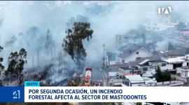 El Cuerpo de Bomberos de Quito confirmó que el fuego registrado en el norte de la capital fue provocado de manera intencional. Un reportaje de Brigette Mancheno