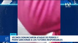 Moradores de Carapungo piden la intervención de las autoridades para identificar a los dueños de los animales involucrados y aplicar sanciones. Un reportaje de Gustavo Jaramillo