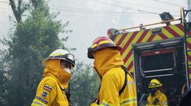 Los Bomberos lograron controlar el incendio en el sector de La Vicentina