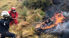 Nueve incendios forestales permanecen activos en Ecuador y otros cuatro se encuentran controlados.