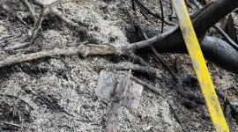 Hallan mortero de uso militar en las laderas de La Vicentina tras incendio forestal en Quito
