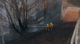 Efectivos del Cuerpo de Bomberos Quito combaten incendio forestal en el sector de La Bota.