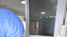Durante una inspección sanitaria en un chifa de Durán, técnicos de Arcsa encontraron plagas.